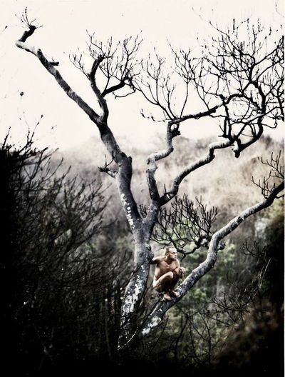 Aapo Kustaa Korkeaoja (Finland)