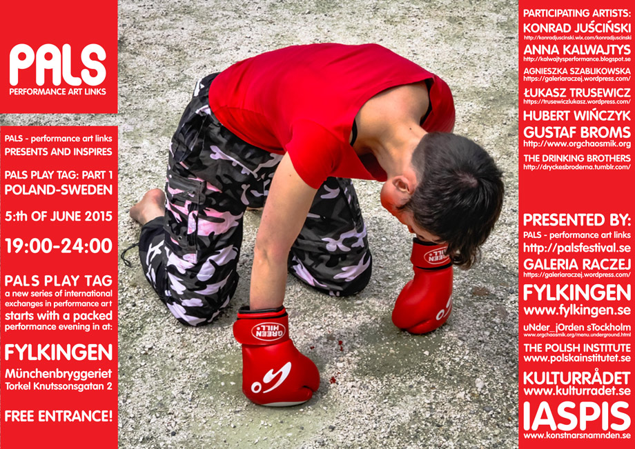 PALS POLEN POSTER SKETCHES