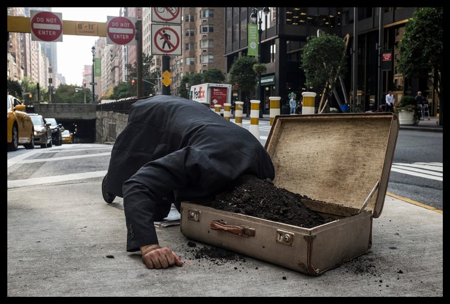 Broms Gustaf performance2015